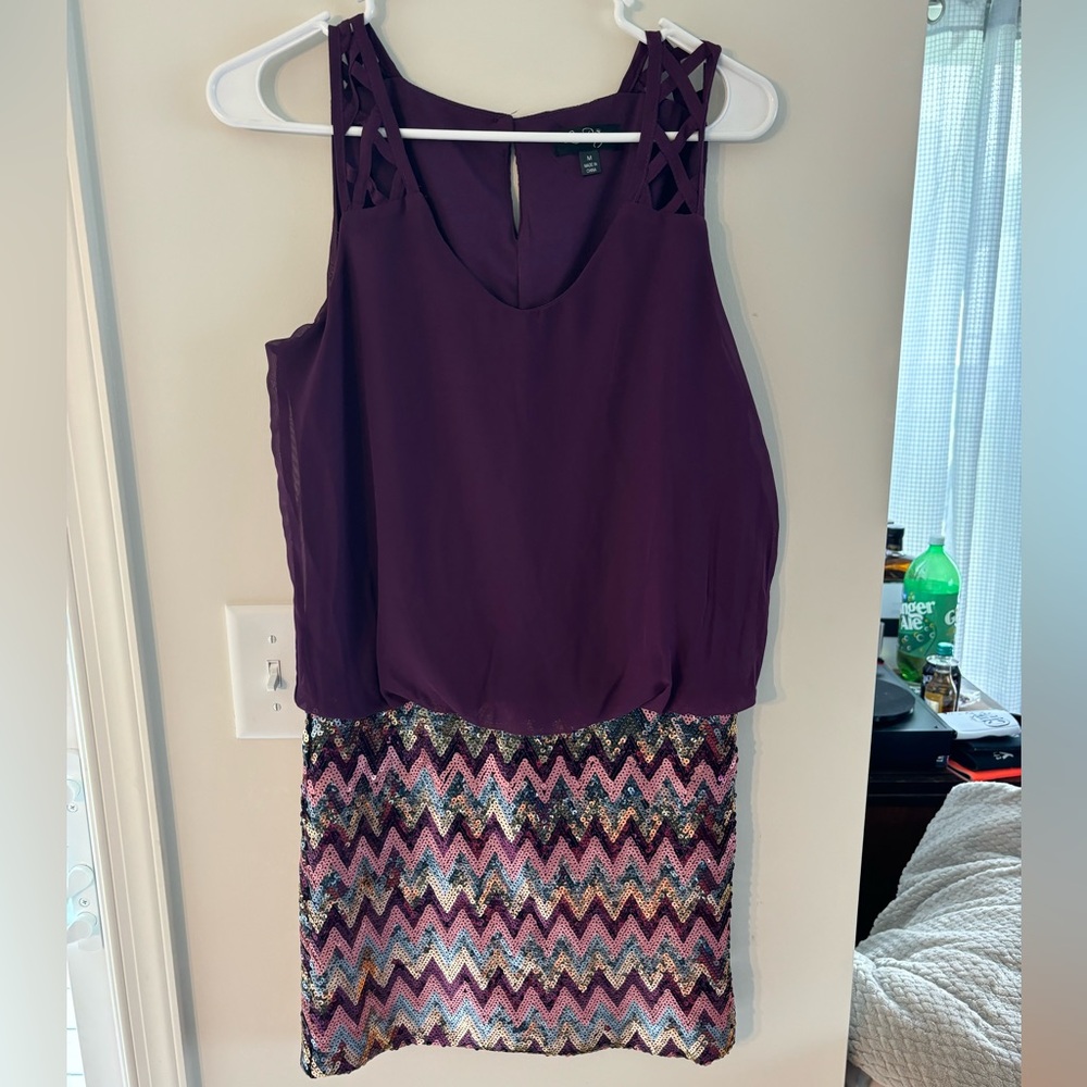 Plum Dress w/ Sequin Bottom Size M